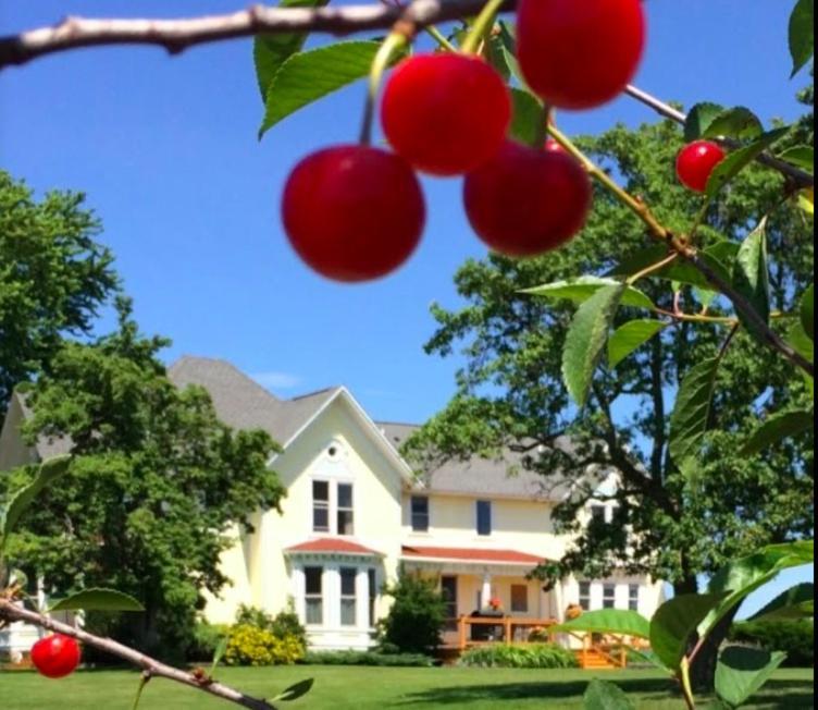 Country Hermitage Bed & Breakfast Acme Luaran gambar